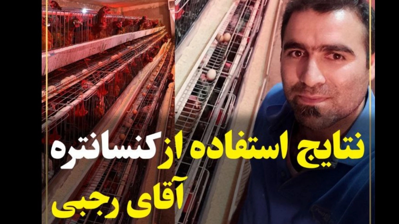 کنسانتره ۲/۵درصد ویژه مرغ بومی