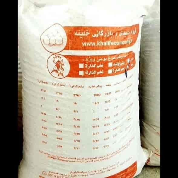 علف خاص للدجاج المحلي