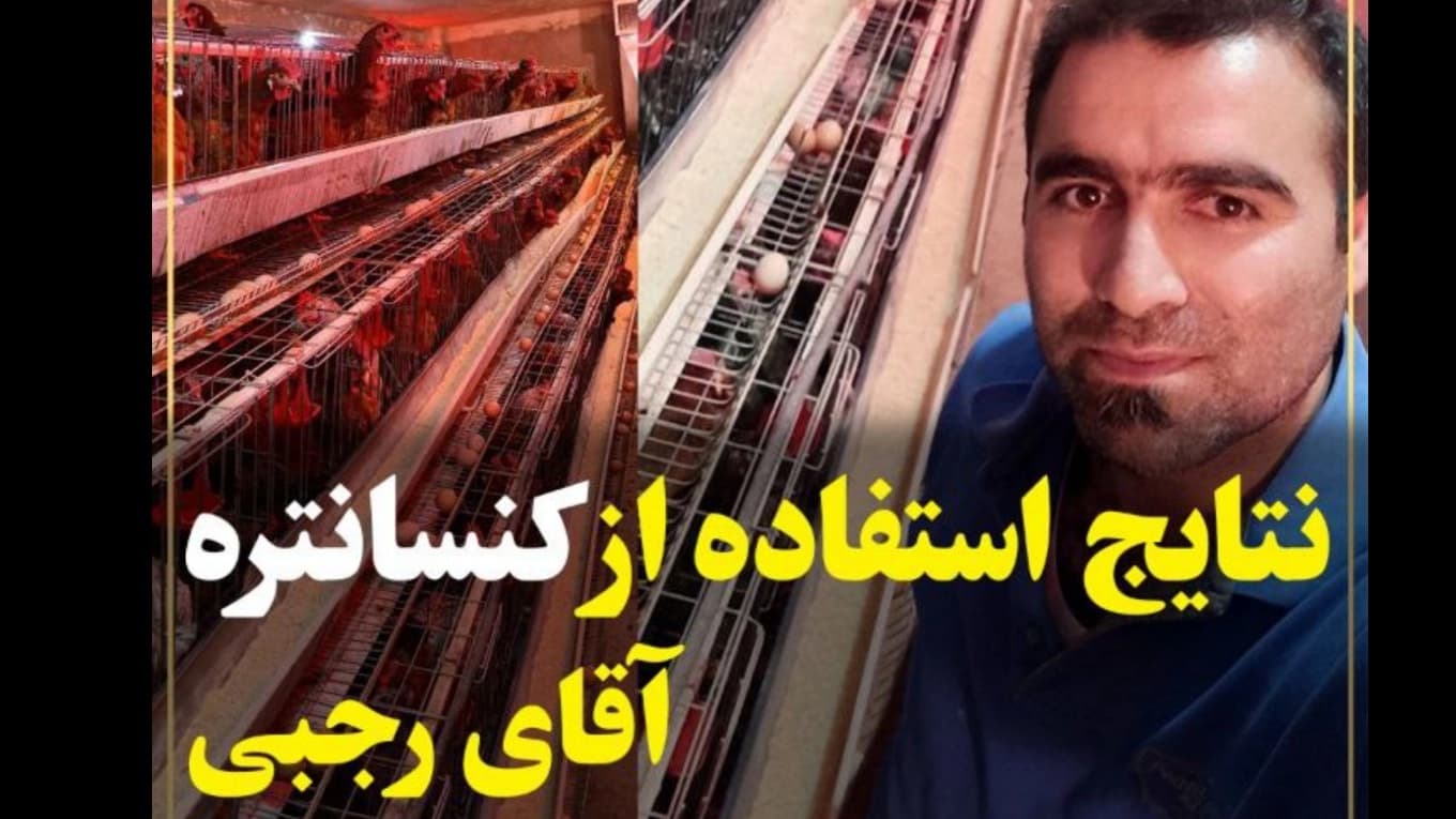 کنسانتره ۲/۵درصد ویژه مرغ بومی